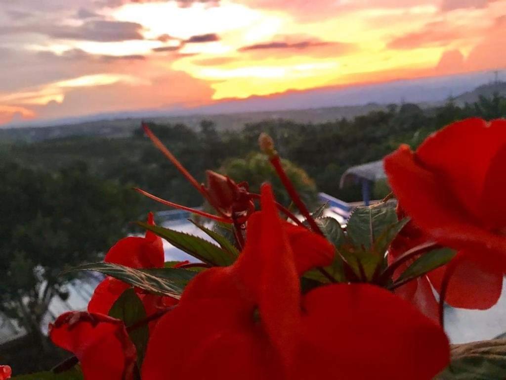 Hotel Casa Natura Pereira Buitenkant foto